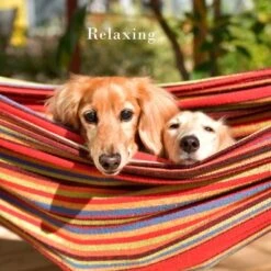 Pure Garden 2-Person Hammock With Stand, 450lb Weight Capacity, Blue/Red Stripe -Intex Tents Shop GUEST 24495f20 9ac3 4b95 bbe8 084189c691e5